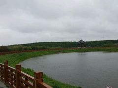 -塞罕坝国家级自然保护区