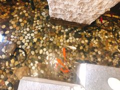 -银波·烧鸟居酒屋·平价日料(万达广场福清清昌大道店)