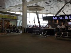 -奥利弗·雷金纳德·坦博国际机场