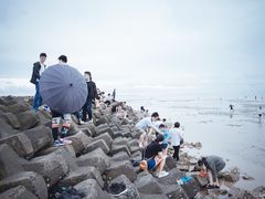 -南汇嘴观海公园