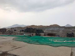 -青岛沙子口国家中心渔港