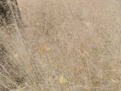 -苏州河梦清园环保主题公园