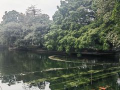 -荔湾湖公园