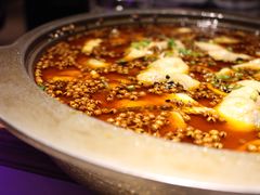 -猫头婴小酒馆FUN OWL(1912店)