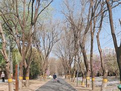 -东升八家郊野公园