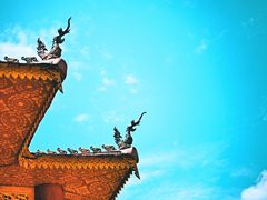 -西双版纳傣族园