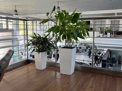 -上海星瀚奔驰4S店(红柳路店)