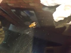 -炙韩料理·部队锅专门店