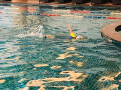 -海豚之星游泳俱乐部(喜来登馆)