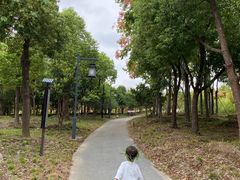 -蜀冈西峰生态公园