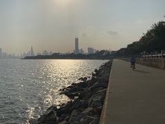 -深圳湾公园(南山区)
