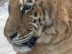 -荆州中山公园动物园