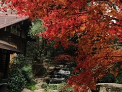 -中国茶叶博物馆(双峰馆区)