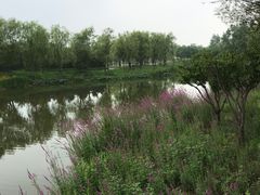-东郊湿地公园