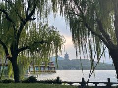 -杭州西湖柳莺里酒店·闻莺厅