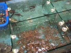 -金辉海鲜餐厅