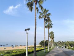 -醉壹号海鲜大排档·老厦门特色菜(厦门美食地标店)