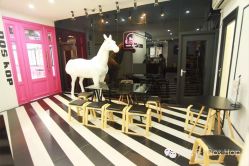 -DOS HOP潮上舞蹈