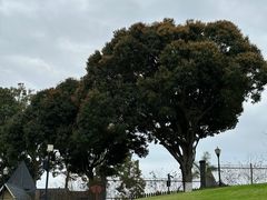 -鼓浪屿·皓月园