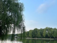-洛阳市隋唐城遗址植物园