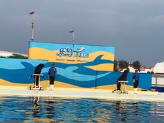 -秦皇岛乐岛海洋王国