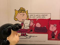 -LLJ夹机占(清河万象汇店)