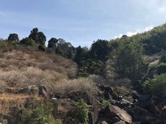 -广州市流溪河国家森林公园