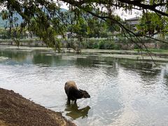 -杭州双溪漂流景区