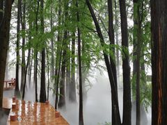 -东湖落雁景区
