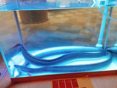 -莆田餐厅PUTIEN(西安万象天地店)