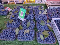 -三旗百汇商品城