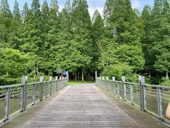 -东平国家森林公园