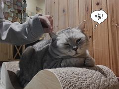 -隅cafe(傅厚岗店)