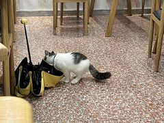 -白翔甜食店