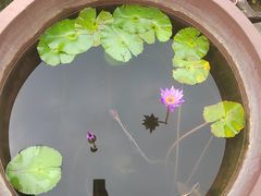 -尧坝古镇