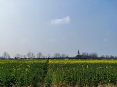 -中国天府农业博览园