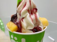 -Salud撒露欧洲冻酸奶(蓝色港湾店)