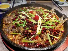 -老板恋上鱼(恒隆广场店)