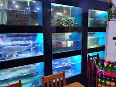-全乐鱼馆·淳牌有机鱼直营店