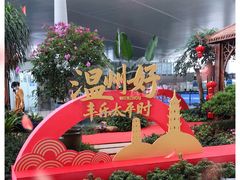 -温州龙湾国际机场