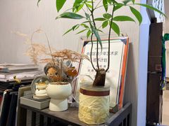 -缪斯琴行英皇小提琴.钢琴.吉他(张江店)