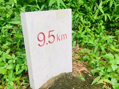 -羚羊峡古栈道森林公园