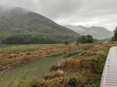 -大九湖