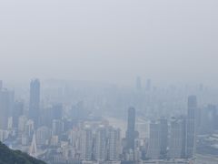 -大金鹰园