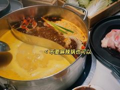 -澳美徕·港式花胶鸡火锅(高新万达店)