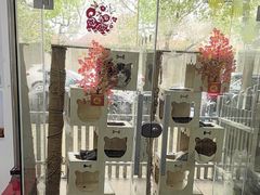 -暖阳宠物医院·犬猫康复中心·骨科