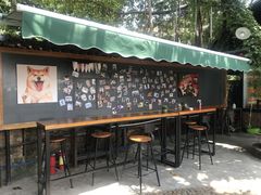 -柴犬高等学院·狗咖·柴犬售卖·宠物训练