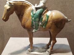 -烟台市博物馆