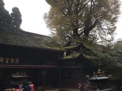 -天师洞道家食堂