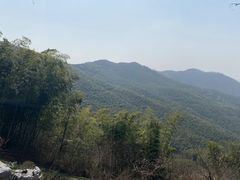 -铜陵市铜官山森林公园